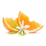 1 Kg Orange Blossom Fragrant Oil