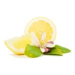 500 g Lemon Blossom Fragrant Oil
