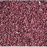 100 ml Raspberry Seed Certified Organic CO2 Oil - ACO 10282P