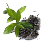 17 g Green Tea - Liquid Extract [Glycerine Based]
