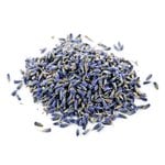 20 kg Lavender - Certified Organic Dried Herbs - ACO 10282P