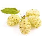 1 Kg White Mulberry - Liquid Extract [Glycerine Based]