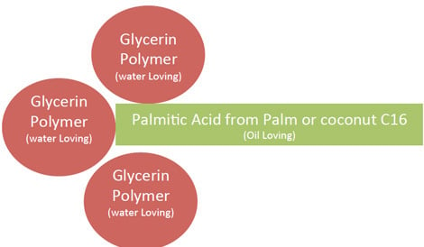Polyglyceryl 3 Palmitate