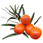 Seabuckthorn Infused Oil - COSMOS CERTIFIED 94% Organic