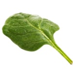 500 ml Spinach Leaf Absolute 3% in Jojoba Oil