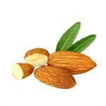100 ml Almond Sweet Virgin Oil Certified Organic - ACO 10282P