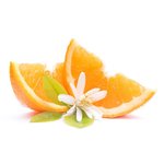 5 Kg Orange Blossom Fragrant Oil