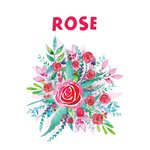 20 LT Mist - Rose Range Skincare