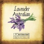 1 Lt Anti-aging Face Serum - Australian Lavender Range Skincare