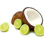 500 g Coconut & Lime Fragrant Oil - Naturally Derived