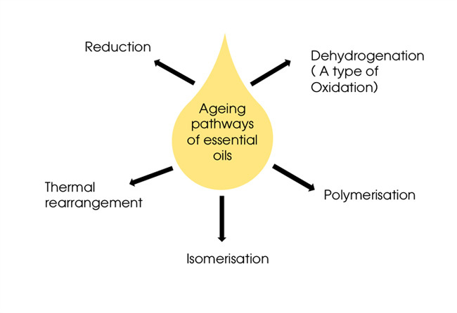 Ageing Pathways of Essential Oils