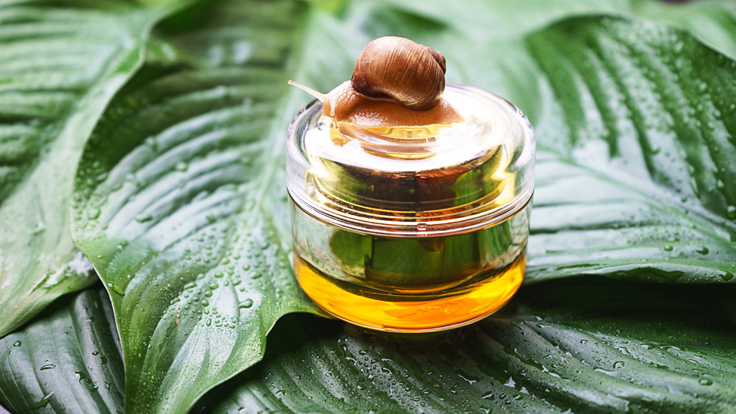 Snail Secretion Extract - Beauty Friend or Slimy Foe?